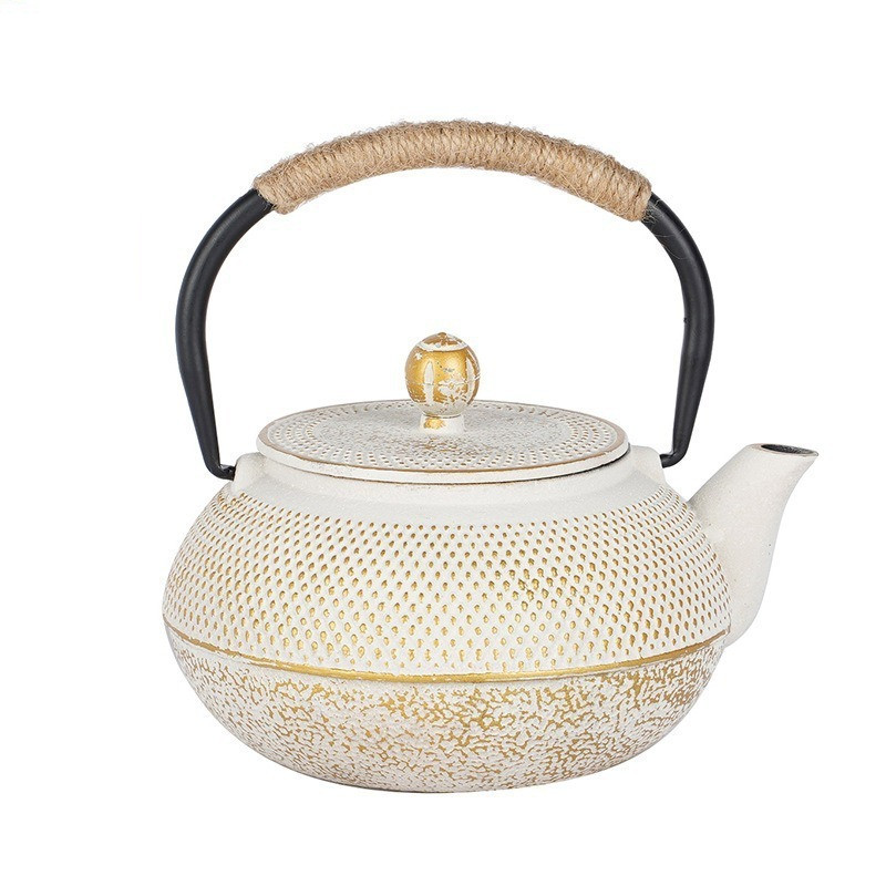 Cast Iron Teapot